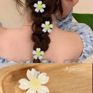 Set de ganchos para el cabello